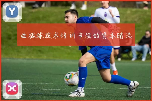 曲棍球技术培训市场的资本暗流