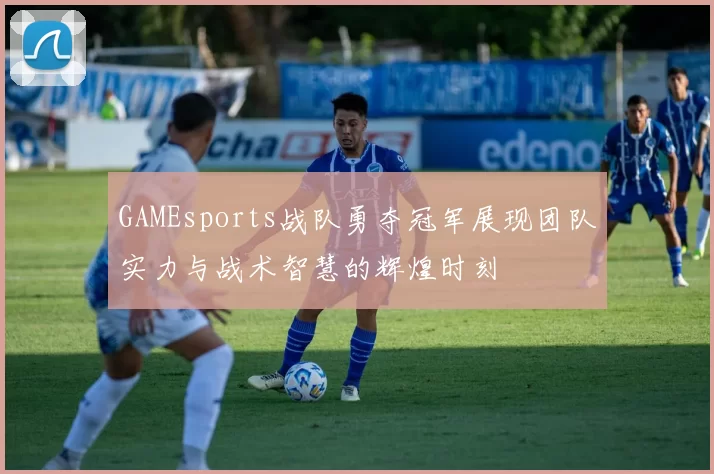 GAMEsports战队勇夺冠军展现团队实力与战术智慧的辉煌时刻