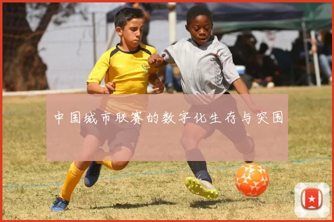 中国城市联赛的数字化生存与突围