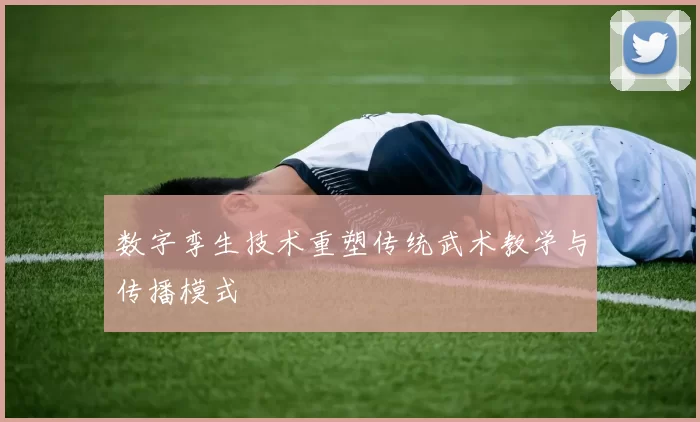 数字孪生技术重塑传统武术教学与传播模式