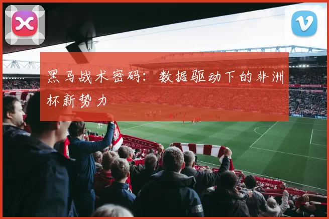 黑马战术密码：数据驱动下的非洲杯新势力