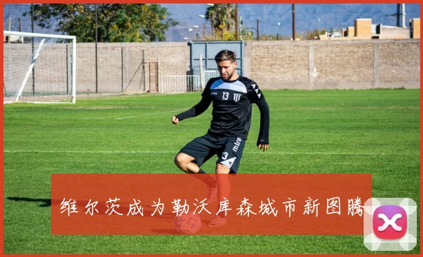 维尔茨成为勒沃库森城市新图腾