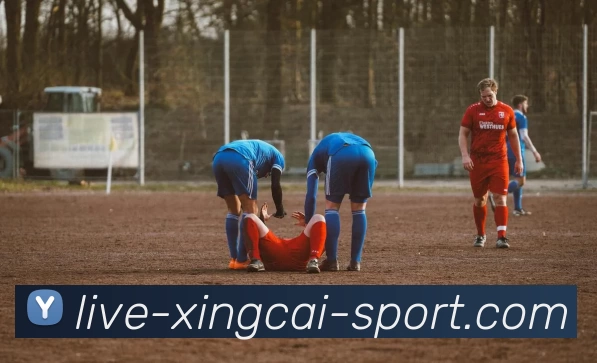 杏彩官网品牌故事